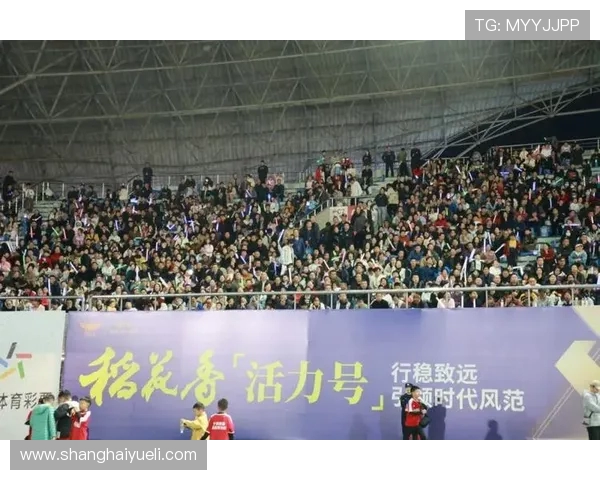 绿茵争锋荣耀之路见证激情与梦想交织的世界足球盛宴