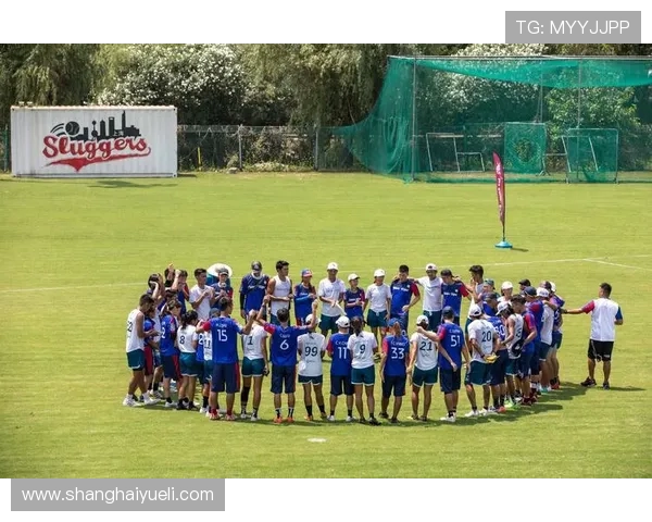 飞盘竞技背后的心理战：深入武汉飞盘队的心灵世界与团队精神